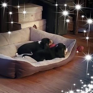 Meet your Posher, Cheryl